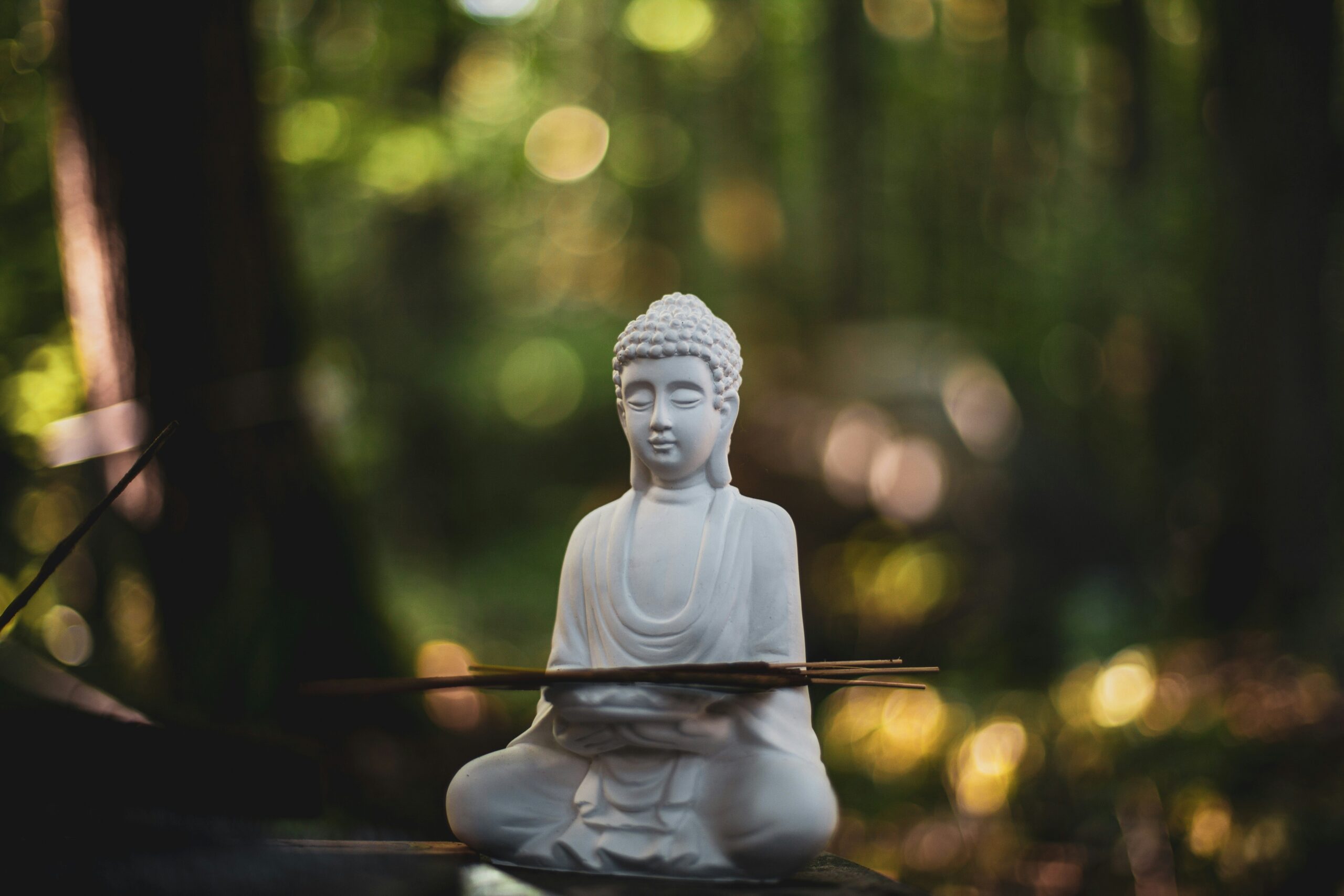 Meditation Monitoring Tools: How to Track Your Mindfulness Journey with Buddhify