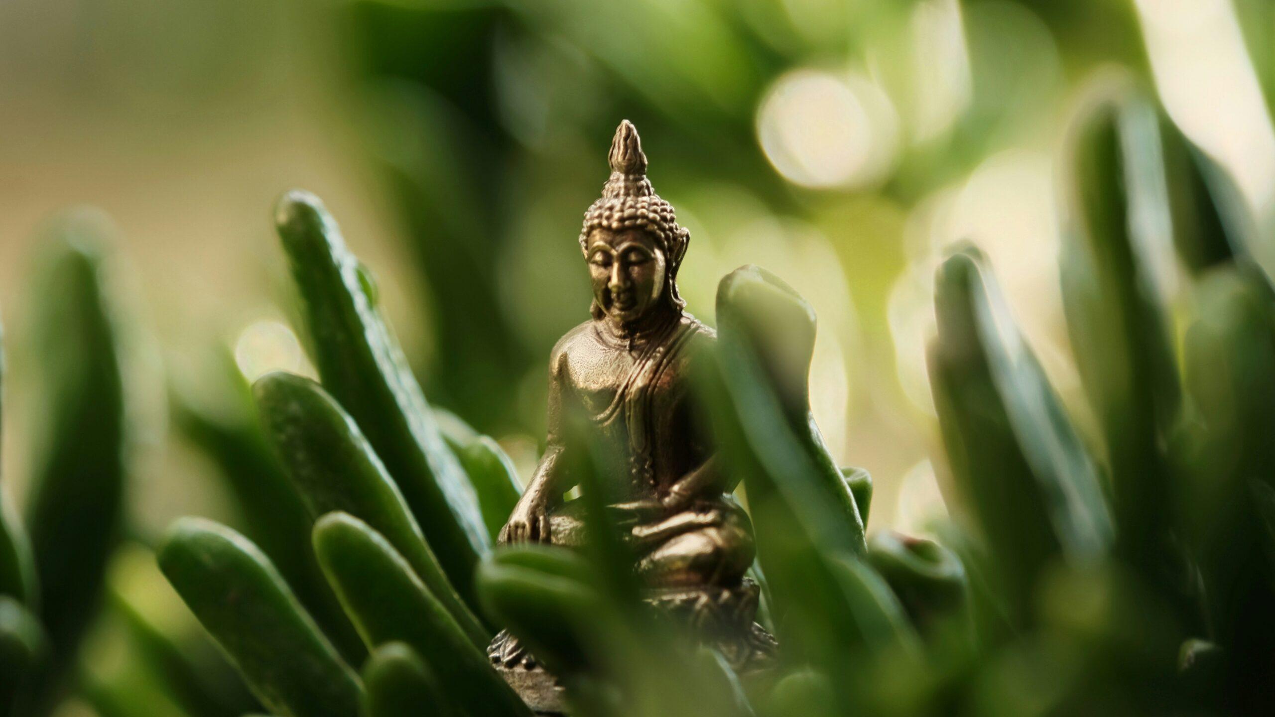 Screenshot of the Buddhify app interface highlighting its features