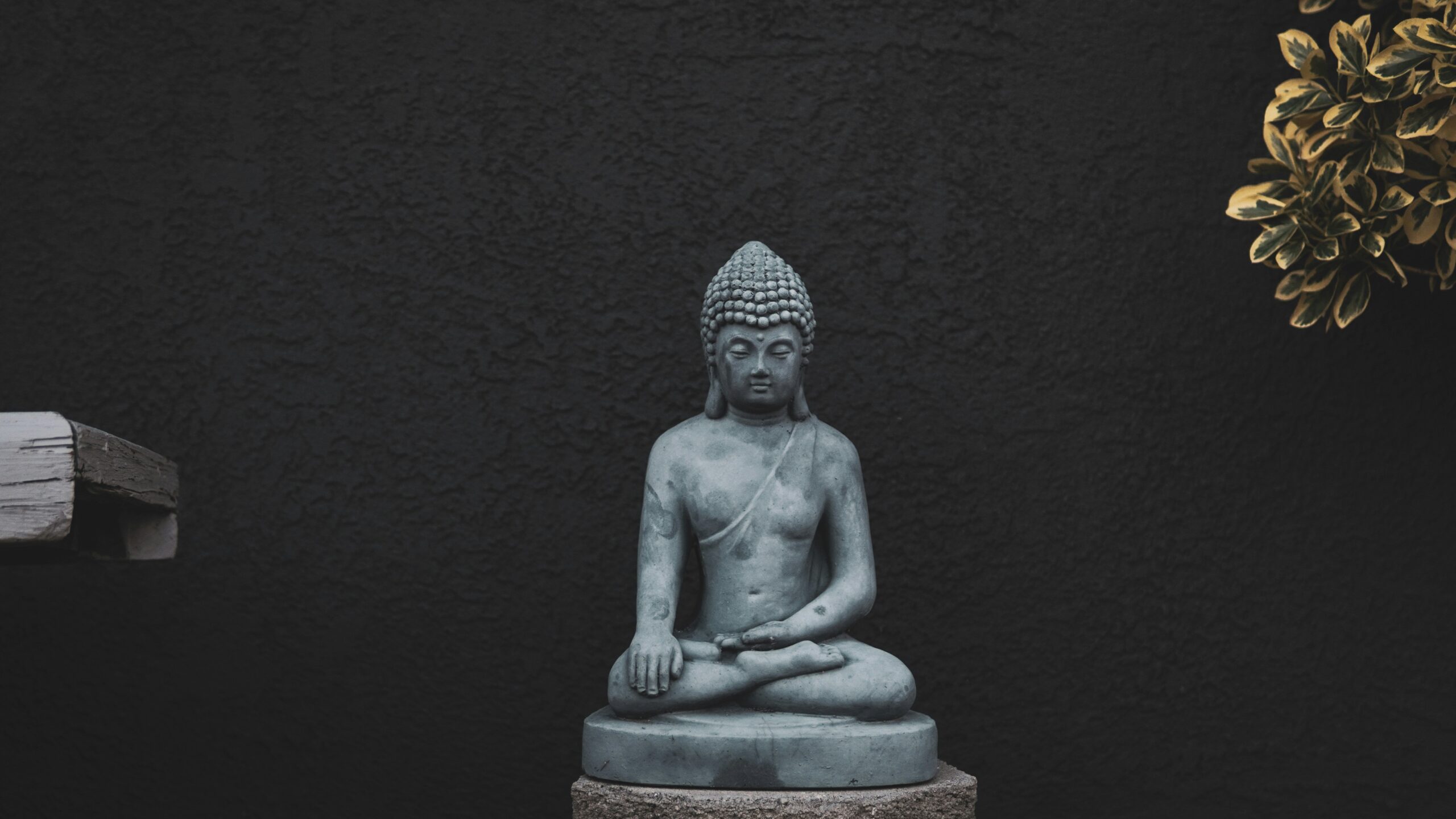 Screenshot of the Buddhify app interface highlighting different meditation categories