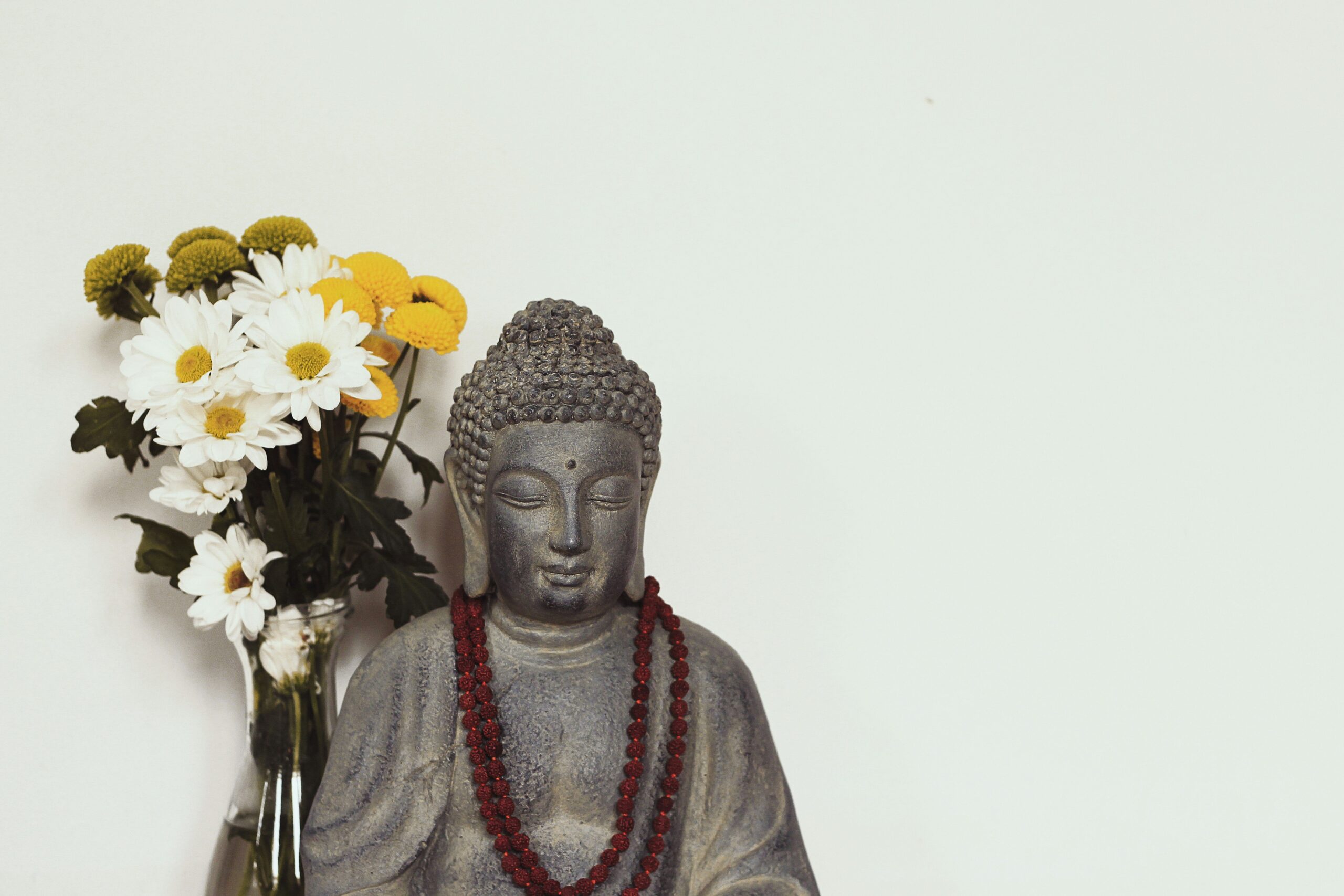 The Ultimate Zen Meditation Guide: How Buddhify Can Bring Peace to Your Chaos