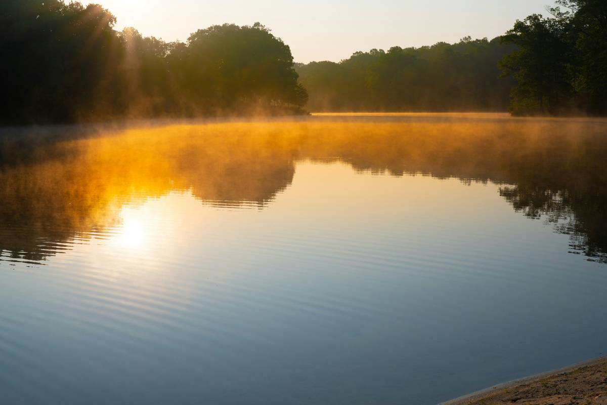 Finding Zen Stillness: How Buddhify Transforms Your Mindfulness Game