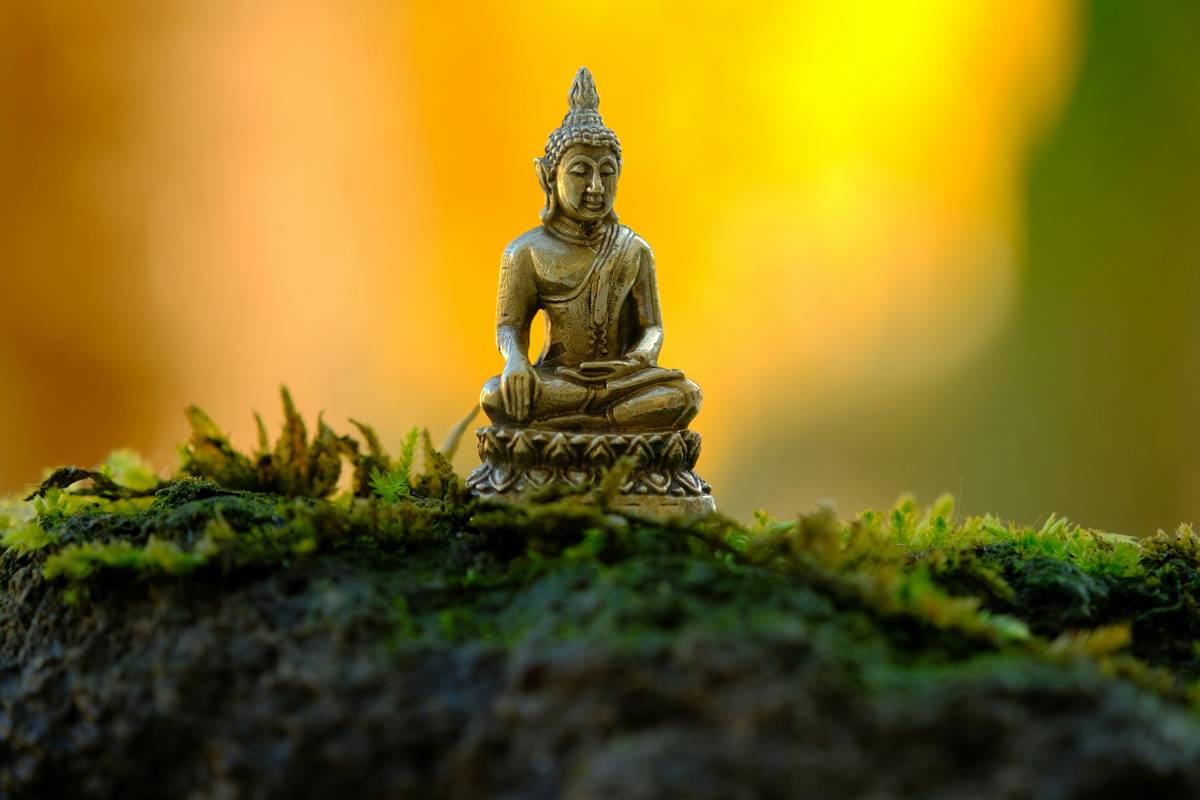 Screenshot of Buddhify app showing various meditation categories like Travel, Sleep, and Work Break.