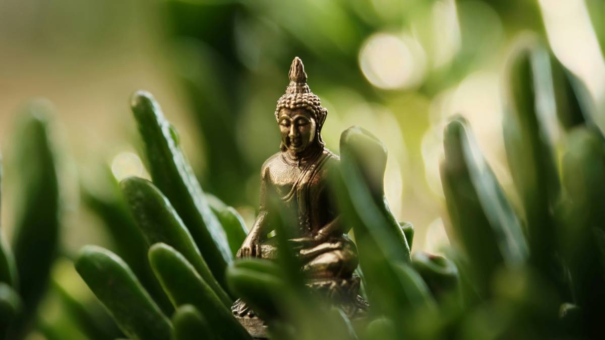 Screenshot showing different meditation categories within the Buddhify app interface.