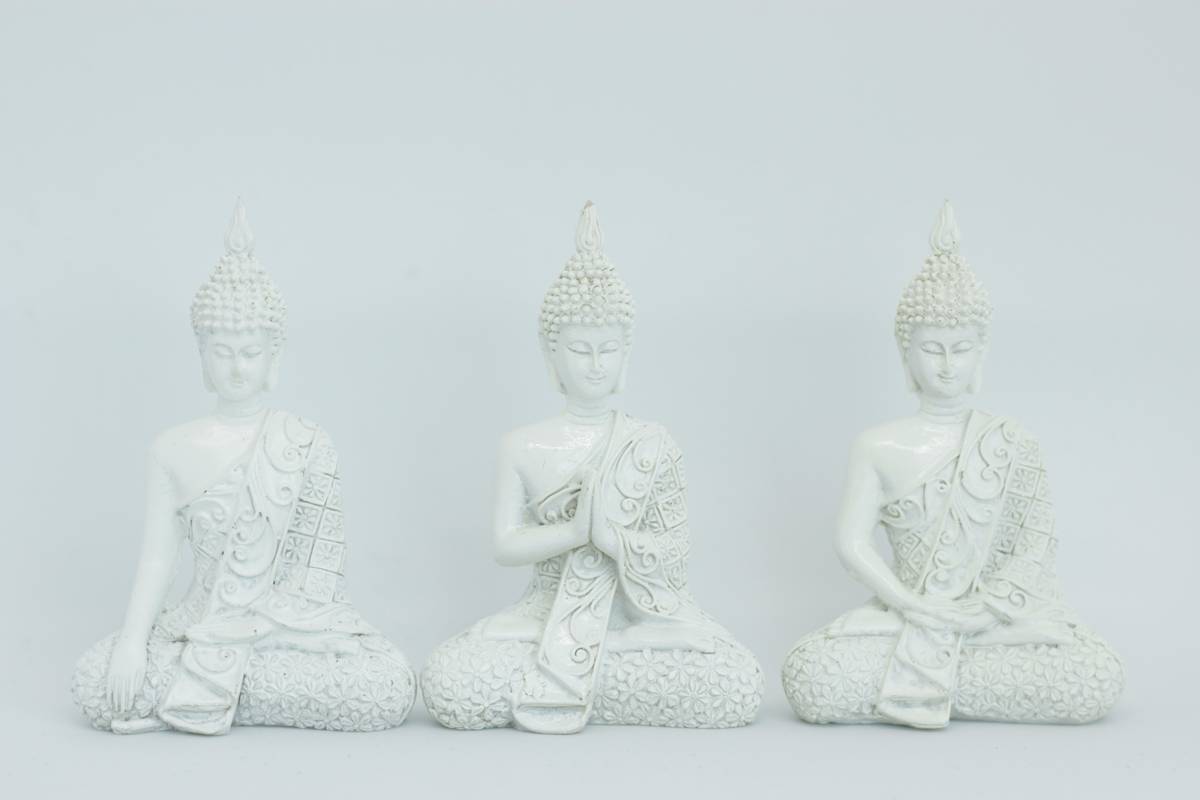 Tranquil Wellness: How Buddhify Can Transform Your Mindfulness Journey