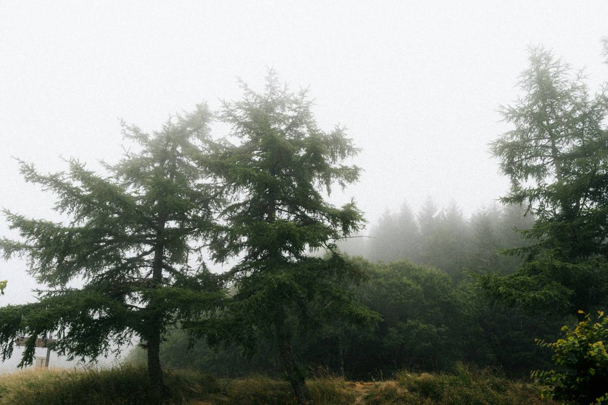 Buddhify app interface showing various session types