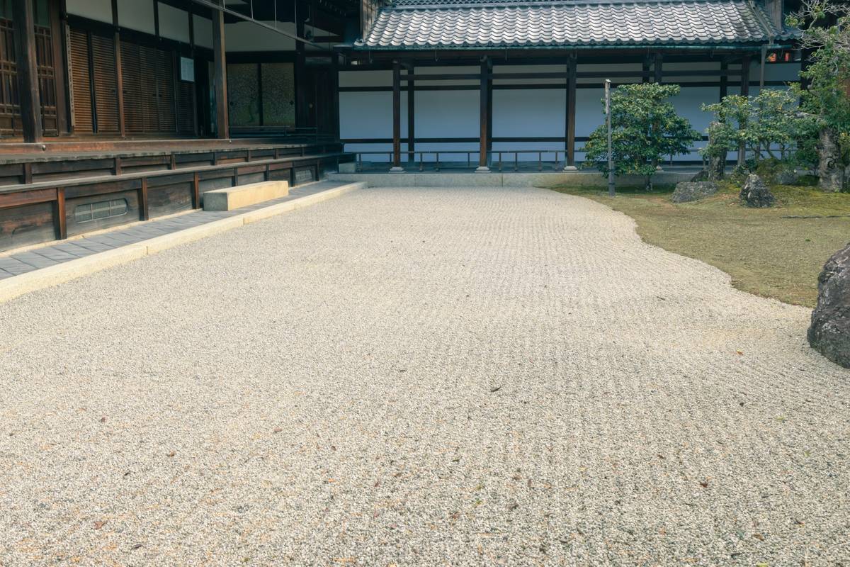 Graph displaying decrease in stress hormones and improvement in sleep metrics over eight weeks