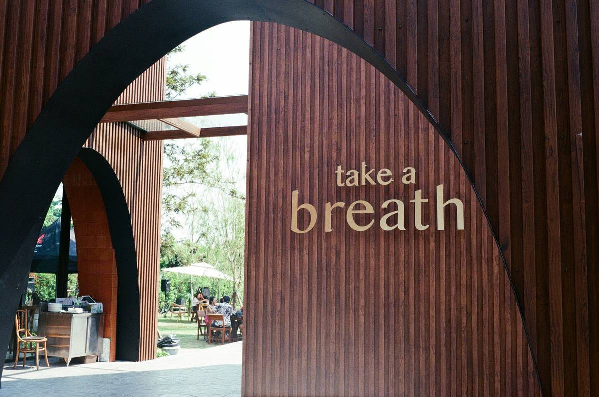 Unlocking Zen Tranquility Tips: How Buddhify Transforms Mindfulness