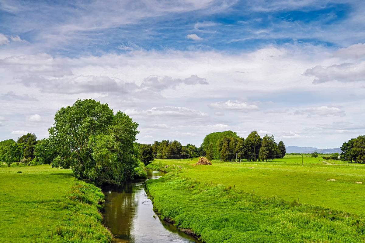 Woman meditating in a park with her phone