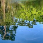 Master Zen Presence Techniques: How Buddhify Can Transform Your Mindfulness Game