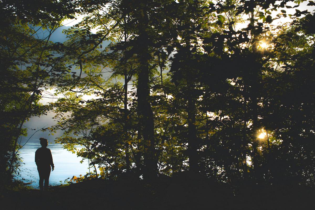 The Ultimate Guide to Zen Mindful Practice: How Buddhify Can Transform Your Life