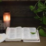 Unlock Inner Peace: The Ultimate Zen Wisdom Guide with Buddhify