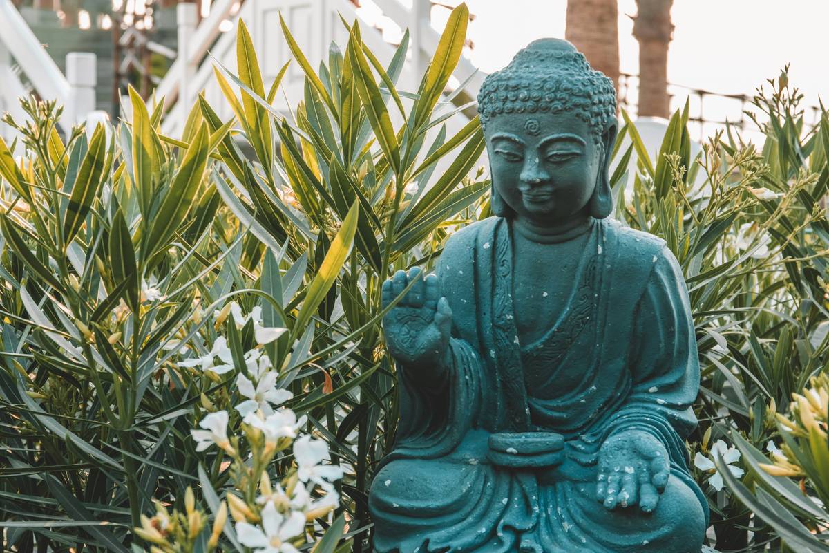 Zen Presence Guide: Mastering Mindfulness & Meditation with Buddhify